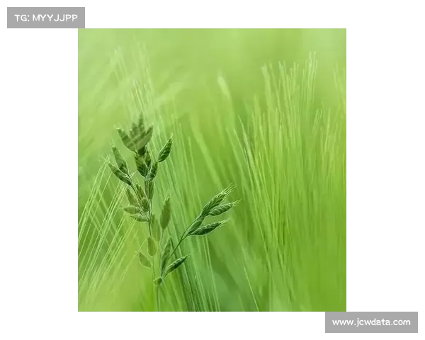 雨水收集系统成全球新球场标配 中国南方球场普及率不足30%